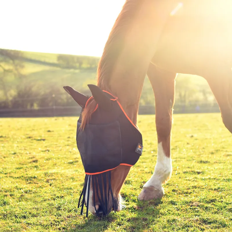 Equilibrium Field Relief Midi Fly Mask with Ears - Black 